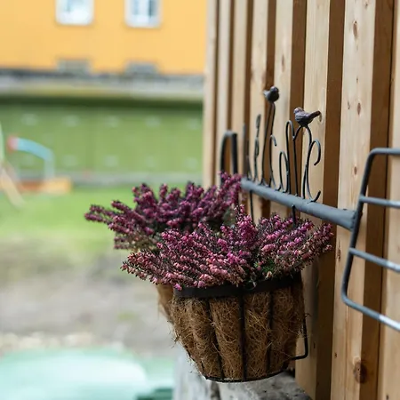 Garden Next To Telliskivi & Old Town